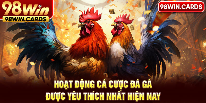 Hoạt động cá cược đá gà được yêu thích nhất hiện nay 